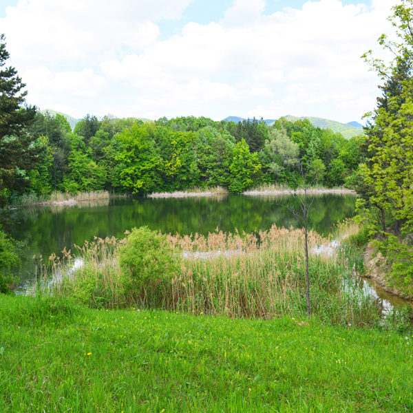 Lacul Meledic, Buzau, Romania